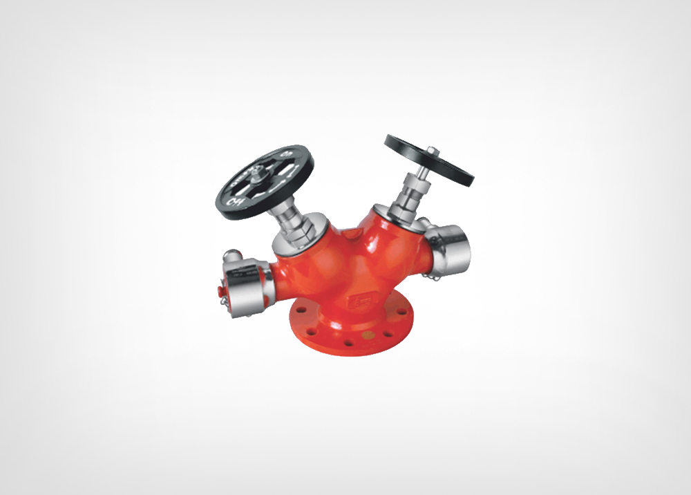 Double Hydraunt Valve SS